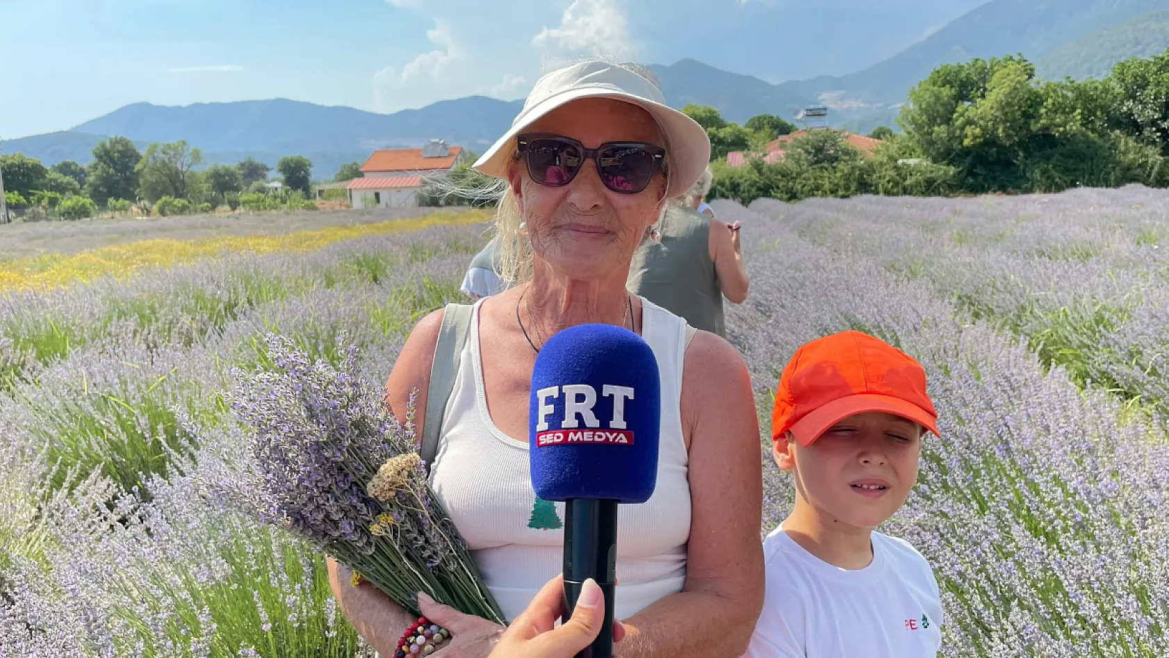 Fethiye Yeşilüzümlü'de 5. Lavanta Kesimi başladı