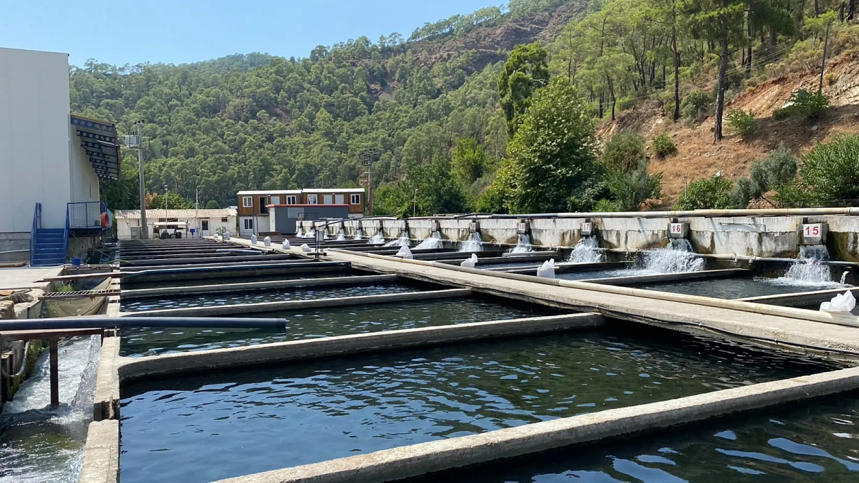 Fethiye'de 11 dönümlük tesis Avrupa'ya balık ihraç ediyor