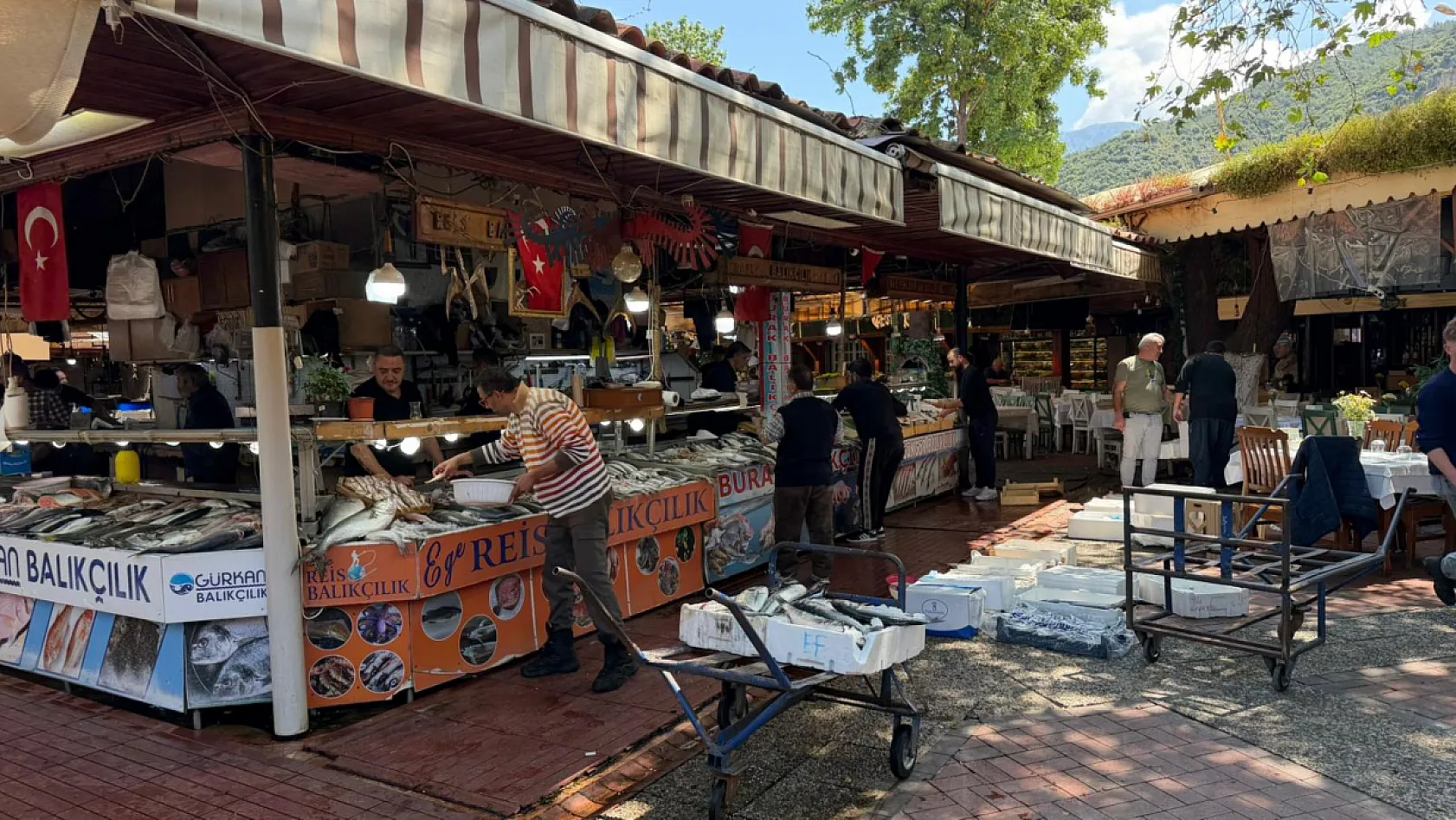 Fethiye'de Av Yasağı Başladı: Tezgahlarda Geçiş Dönemi Yaşanıyor