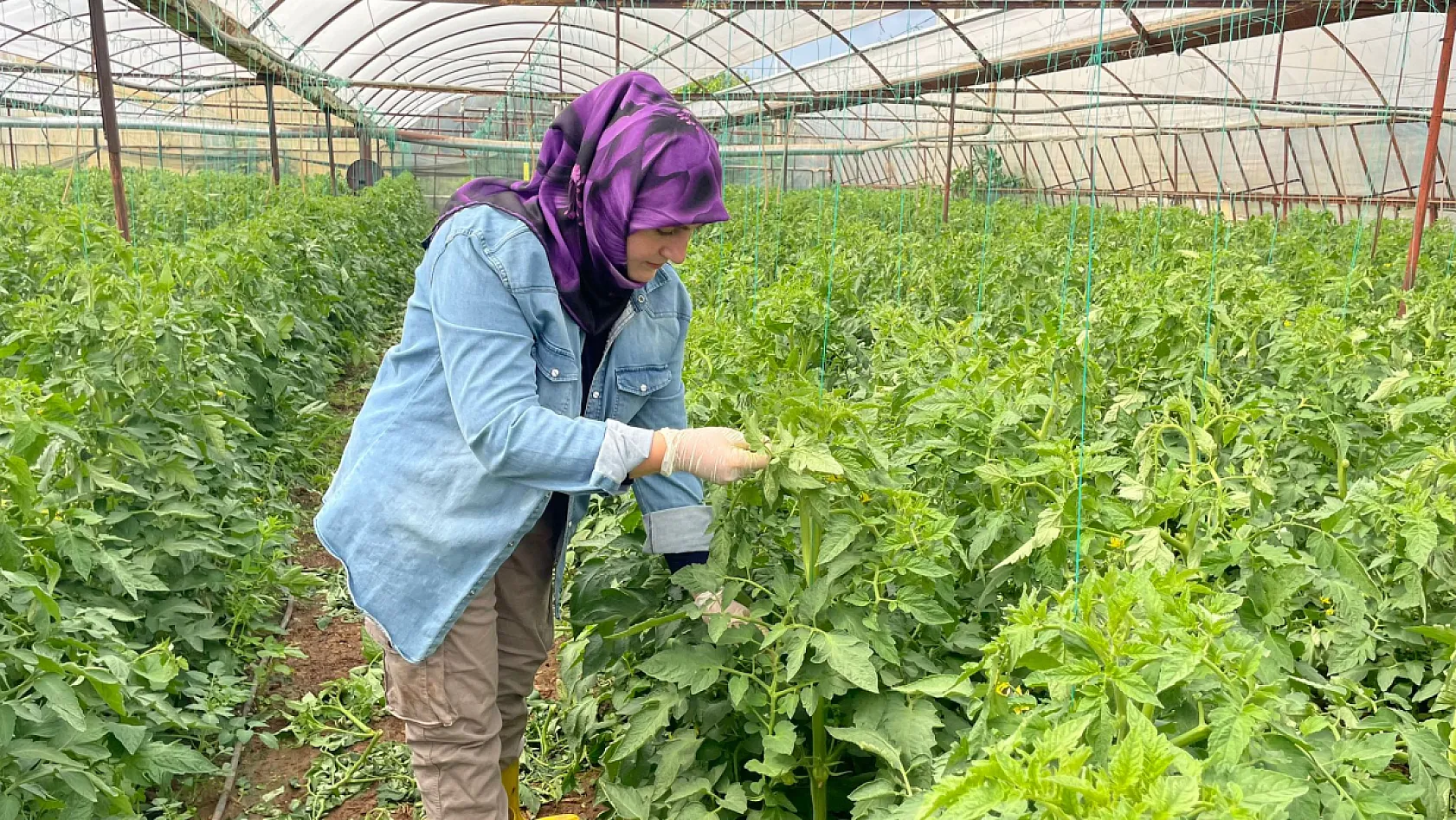 Fethiye'de Çiftçilik Yapıyor, Sosyal Medyada Üretimi Anlatıyor