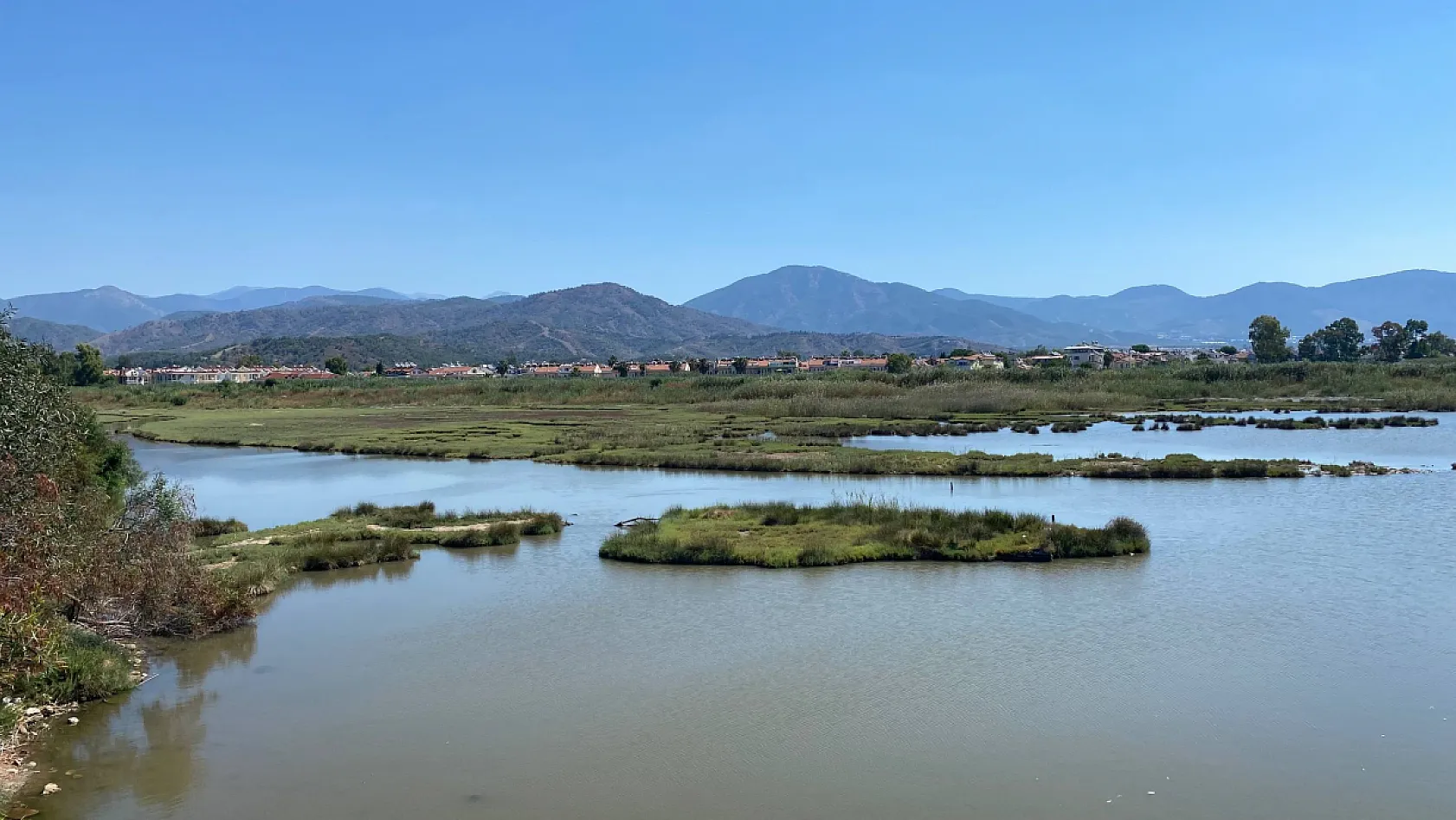Fethiye'de Denizel Biyoçeşitlilik İçin Güç Birliği: Uzmanlardan Koruma Çağrısı