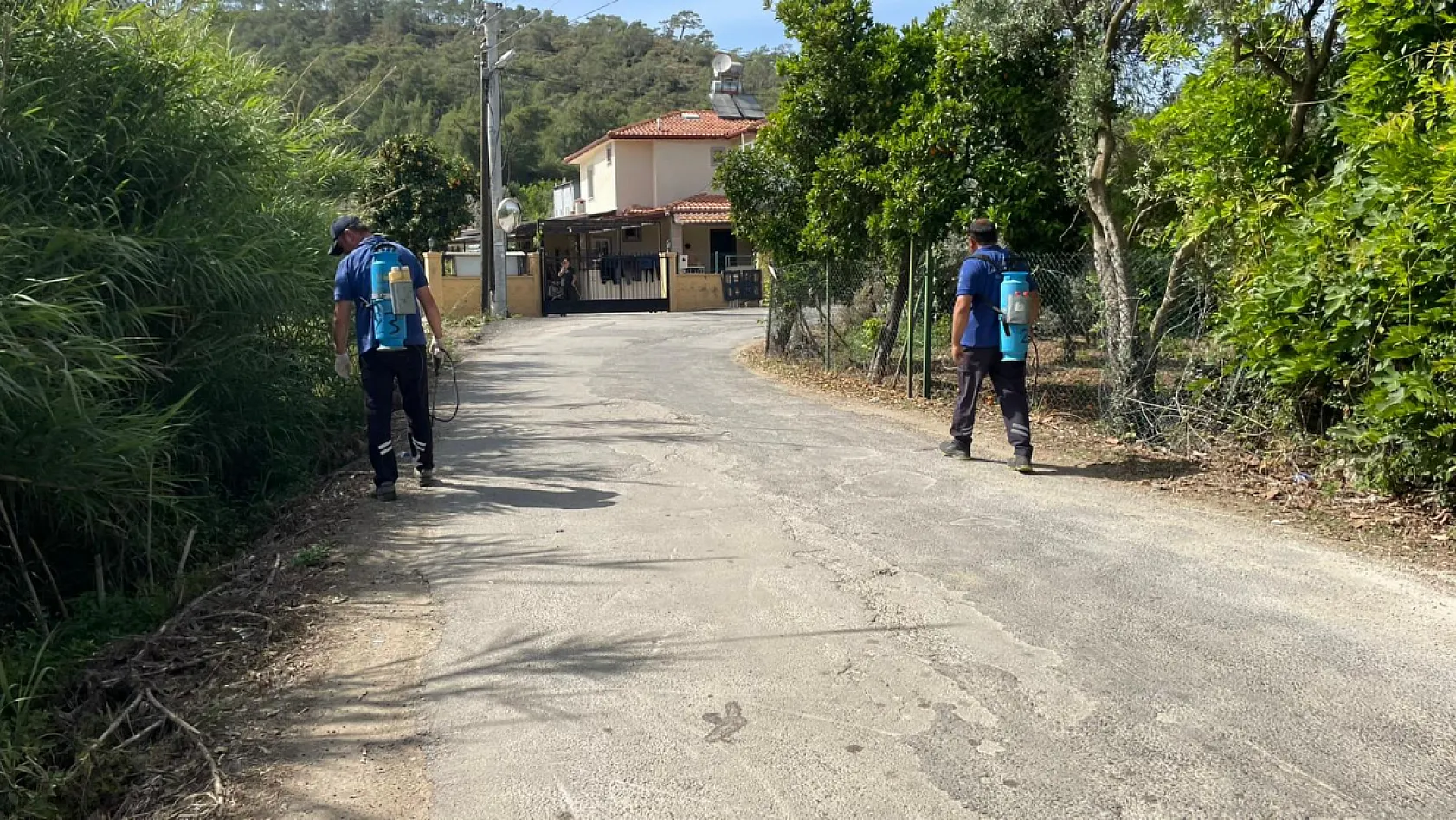 Fethiye'de Karagedik'ten Göcek'e sivrisinekle yoğun mücadele