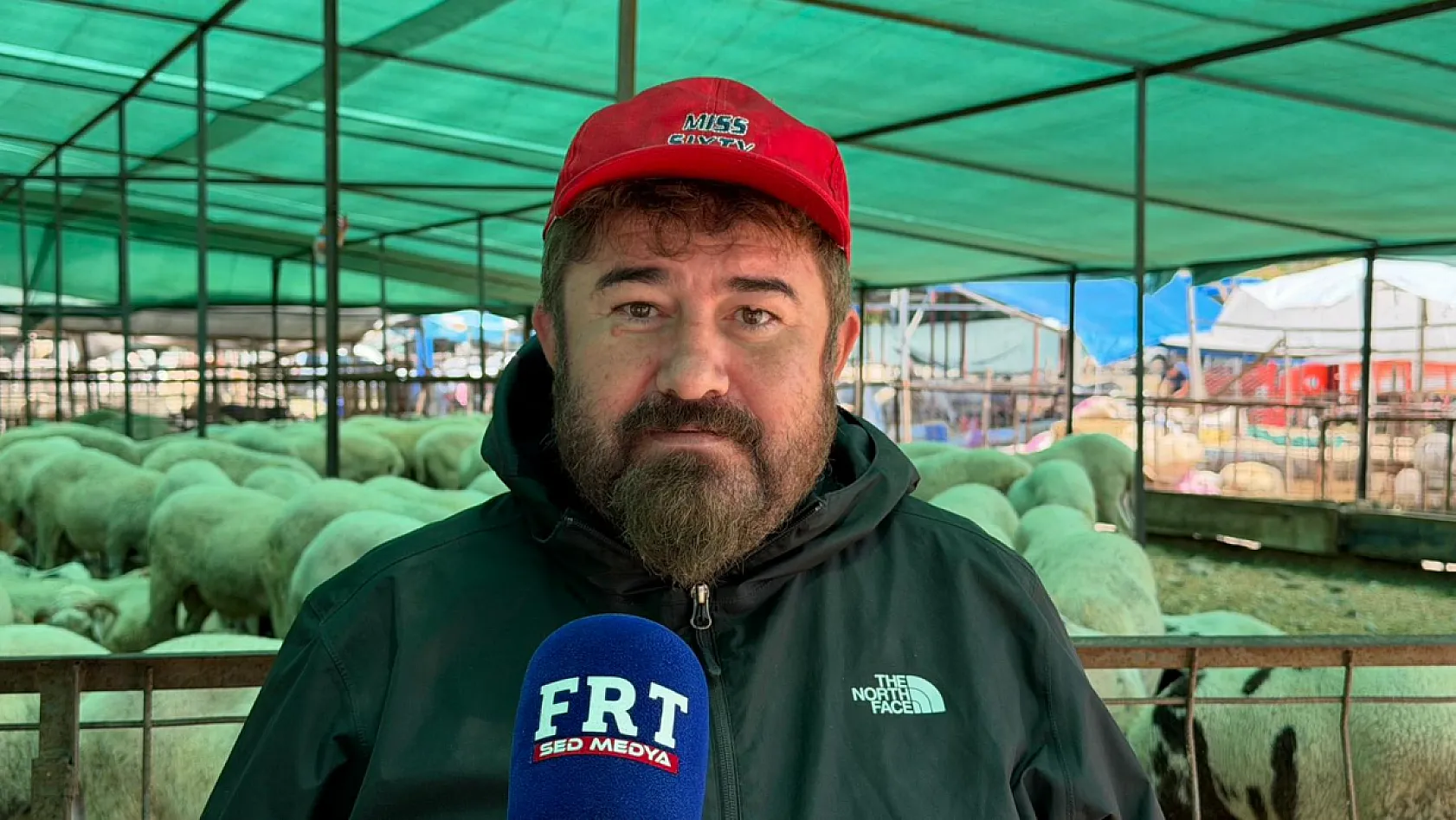 Fethiye'de kurbanlık hareketliliği başladı: Çarıklı Et'ten 3 bin metrelik yayla kalitesi