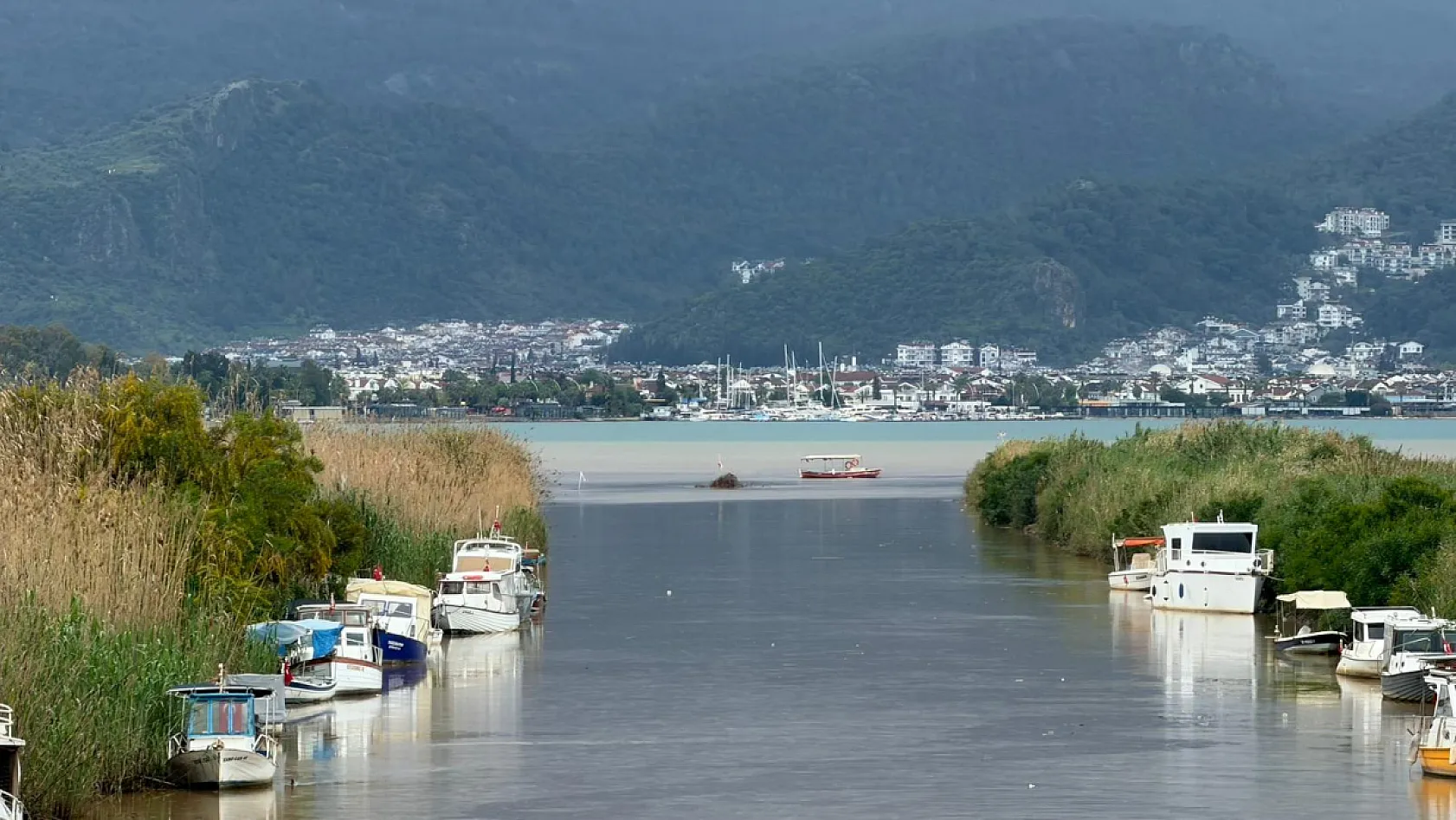 Fethiye'de 'Mut Deresi' kahverengiye büründü