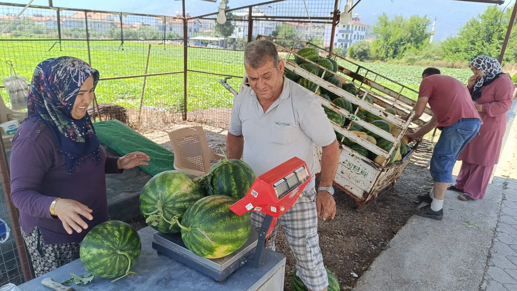 Fethiye'de sezonun ilk yerli karpuzu tezgaha indi
