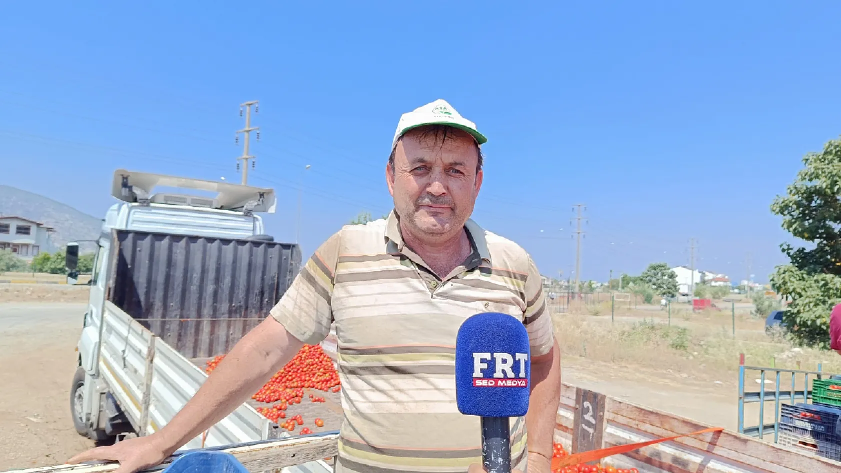 Fethiye'de üreticinin yüzü salçaya döndü: Domates fiyatlarındaki düşüş çiftçiyi zorluyor