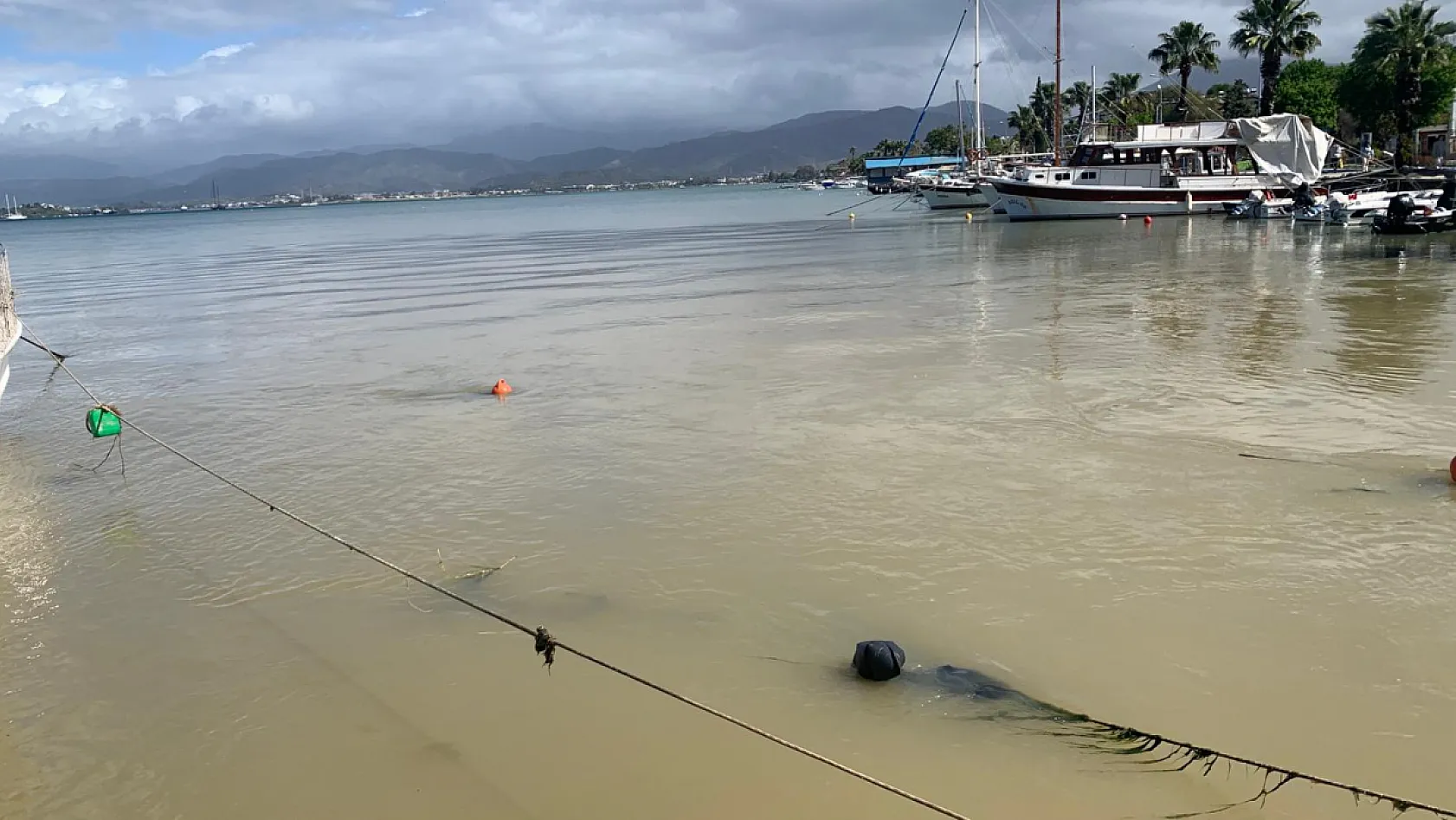 Fırtına sonrası Fethiye Körfezi çamura büründü