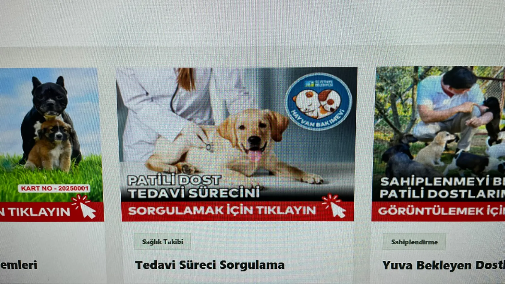 Fethiye Belediyesi'nden hayvanseverlere dijital kolaylık: Tedavi süreci artık internetten takip edilebilecek