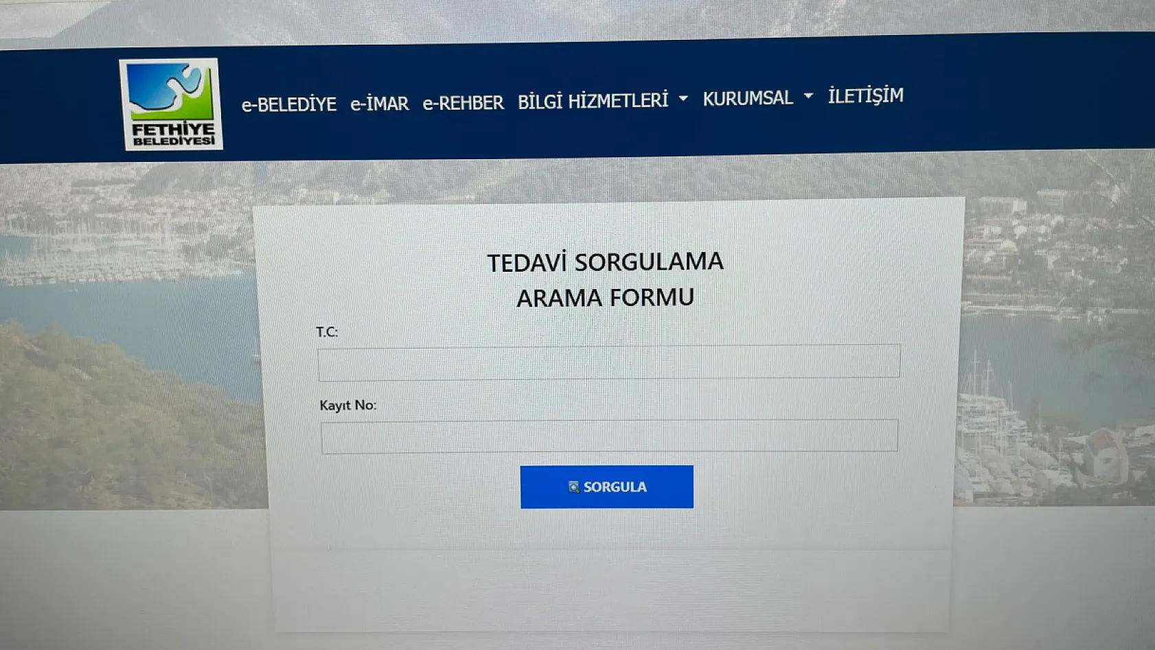 Fethiye Belediyesi'nden hayvanseverlere dijital kolaylık: Tedavi süreci artık internetten takip edilebilecek