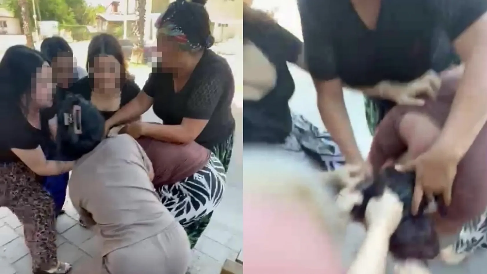 Genç kadını çocuğunun yanında hem dövdüler hem de videoya çektiler