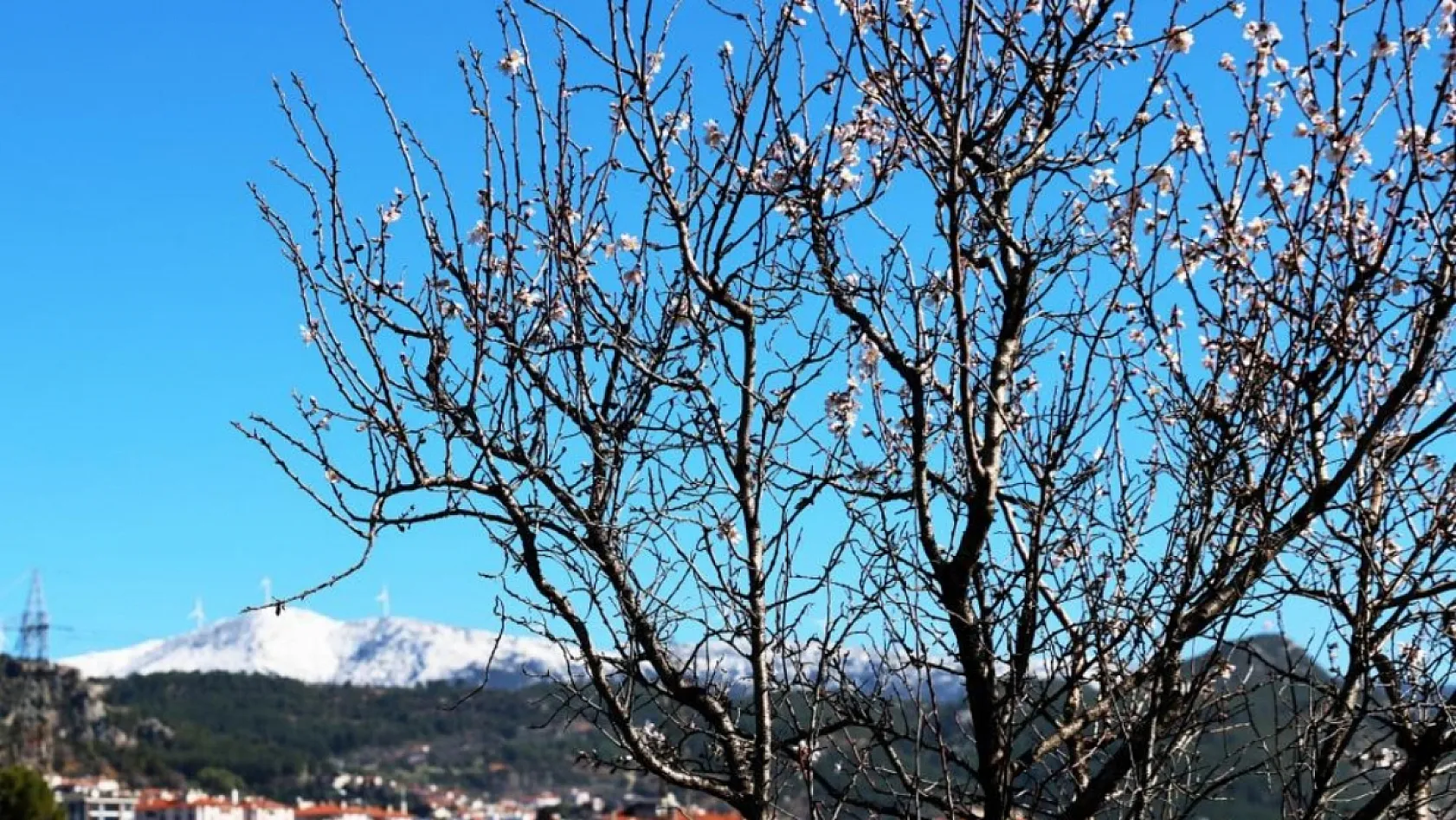 Muğla'da kış ve bahar aynı karede