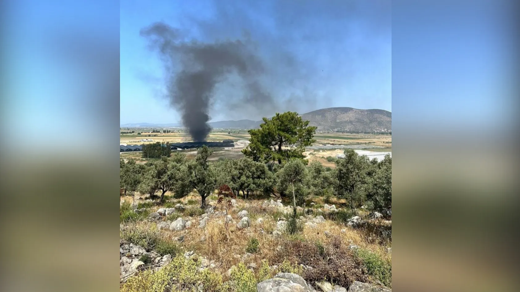 Milas'ta Balık Üretim Tesisi'nde yangın paniği