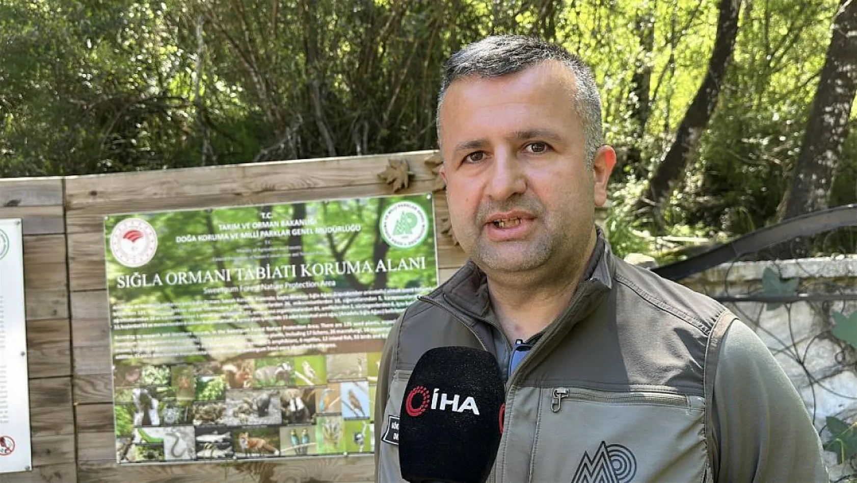 Sadece Fethiye ve Bucak'ta Bulunan Anadolu Sığla Ormanı Baharla Canlandı!