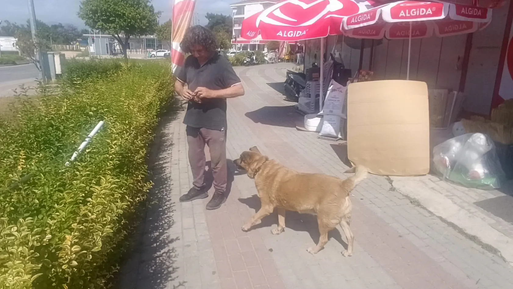 Gözleri görmeyen köpeğe 13 yıldır evladı gibi bakıyor