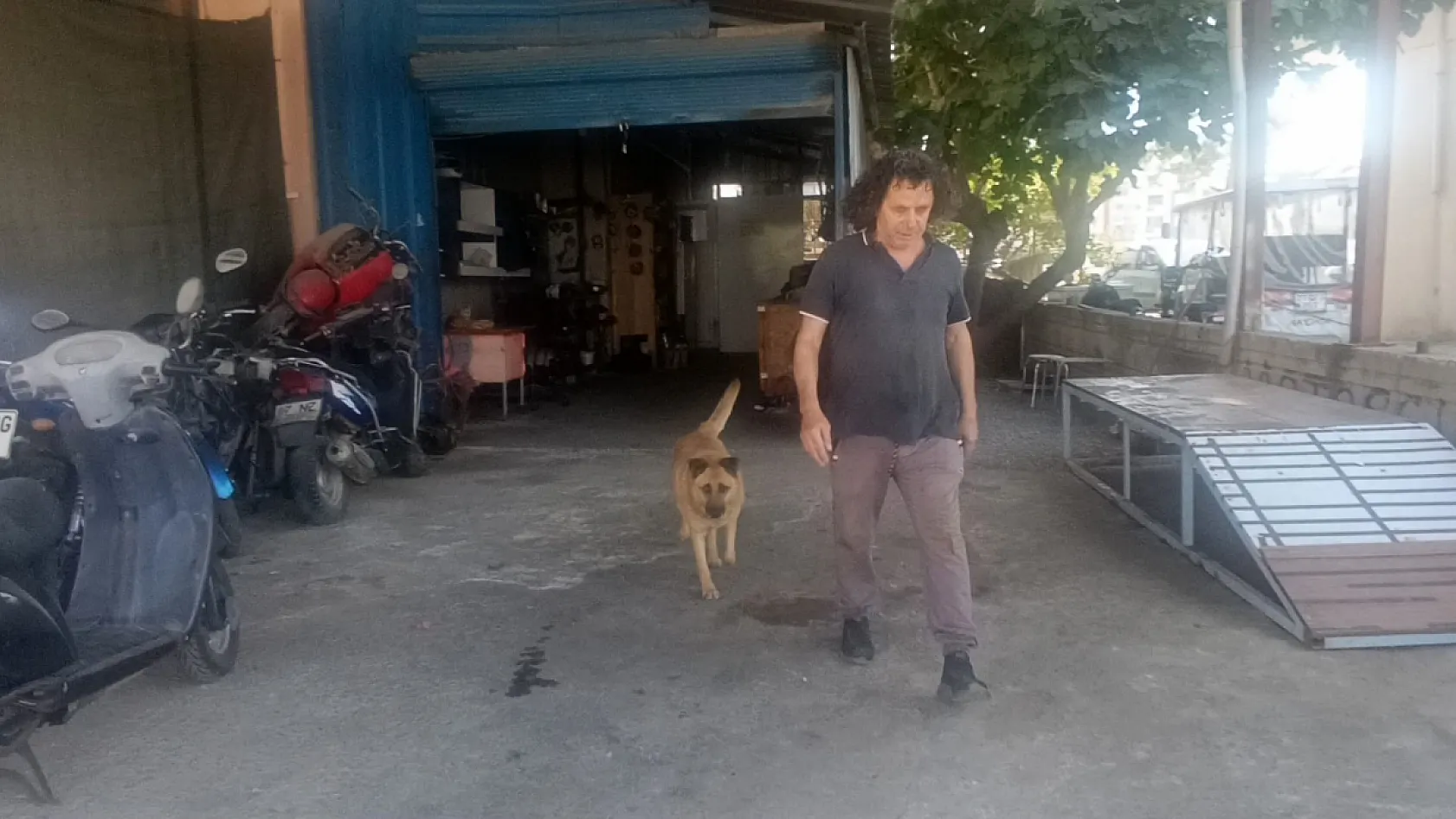 Gözleri görmeyen köpeğe 13 yıldır evladı gibi bakıyor