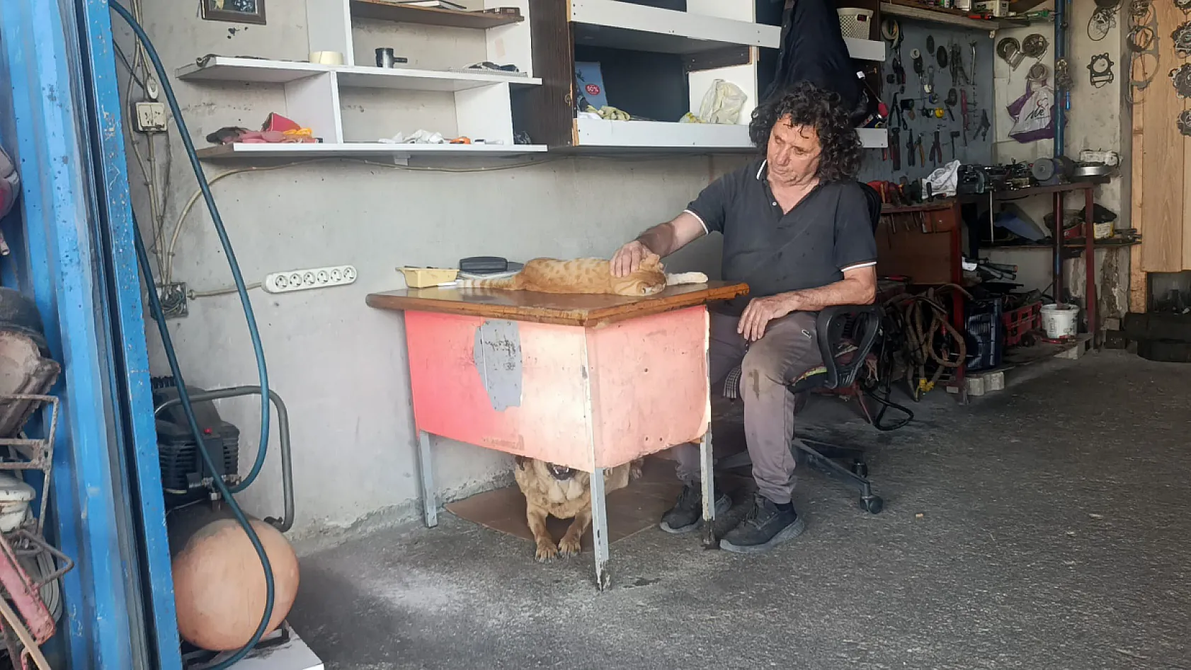 Gözleri görmeyen köpeğe 13 yıldır evladı gibi bakıyor