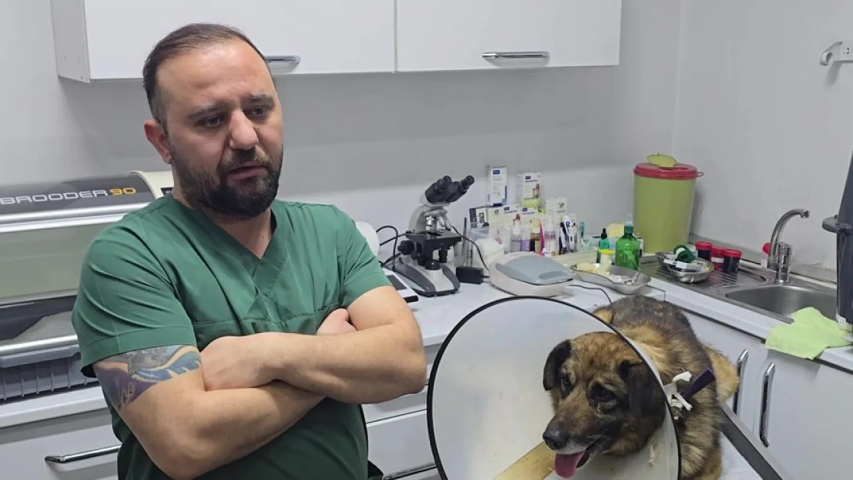 Havladığı için 4 kurşunla vurulan köpek hayata tutundu: Adını 'Kurşun' koydular