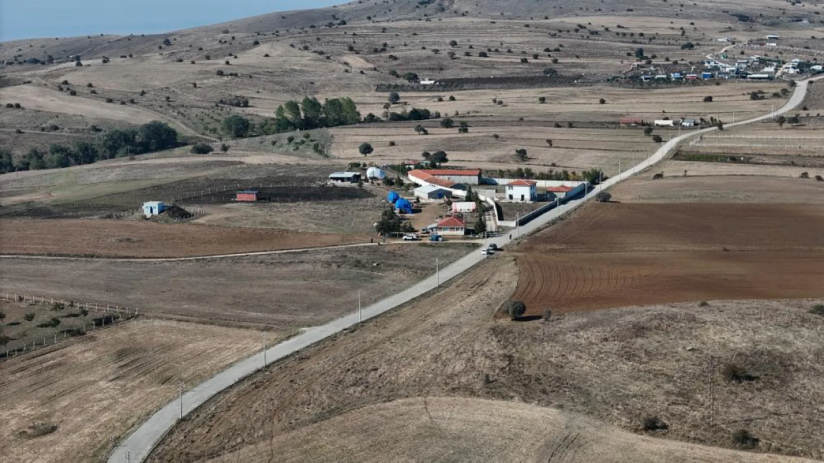 Hayatını adadığı yeğeni katili oldu
