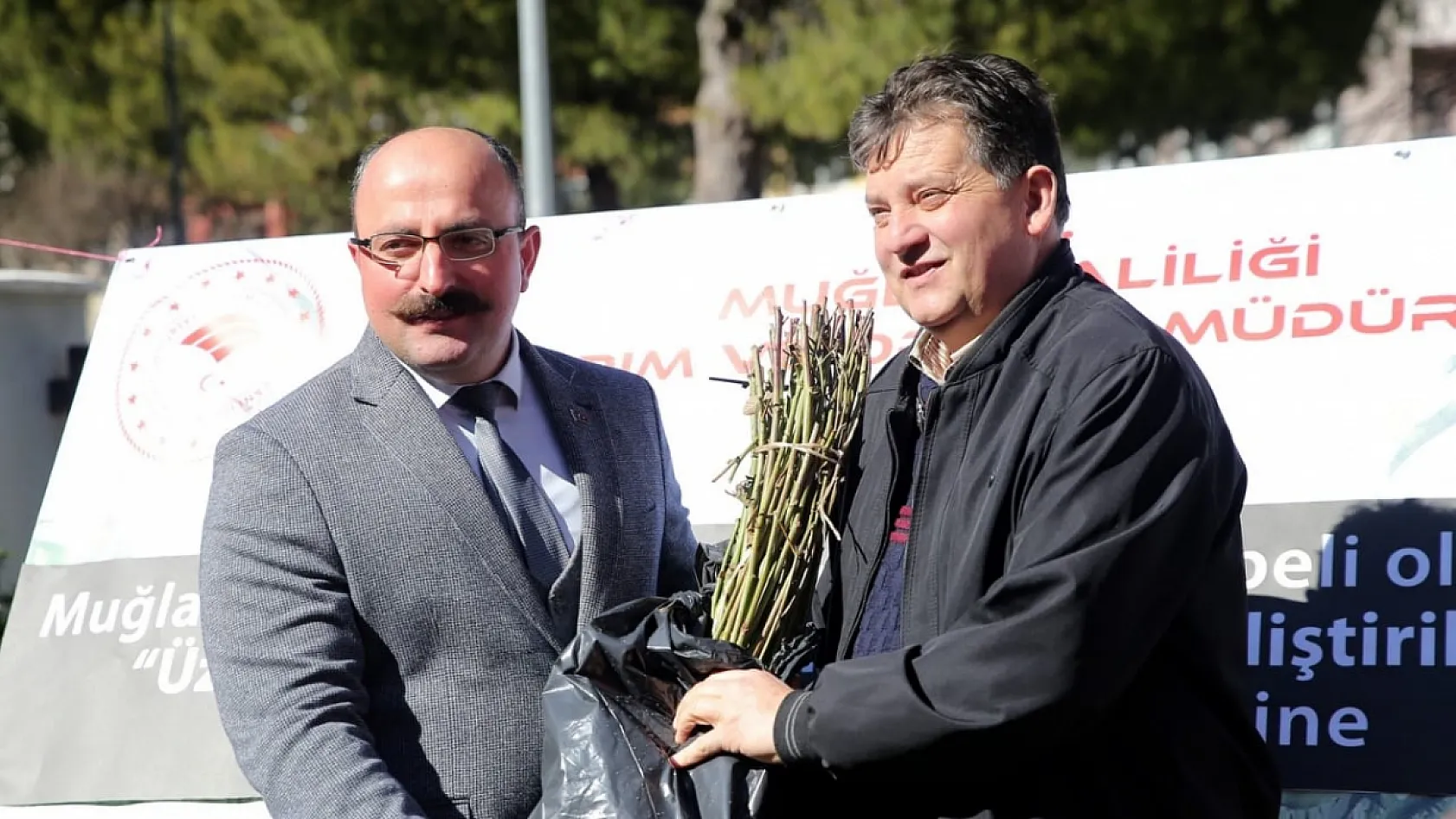 Muğla'da üzümsü meyvelerin ekim alanı genişliyor