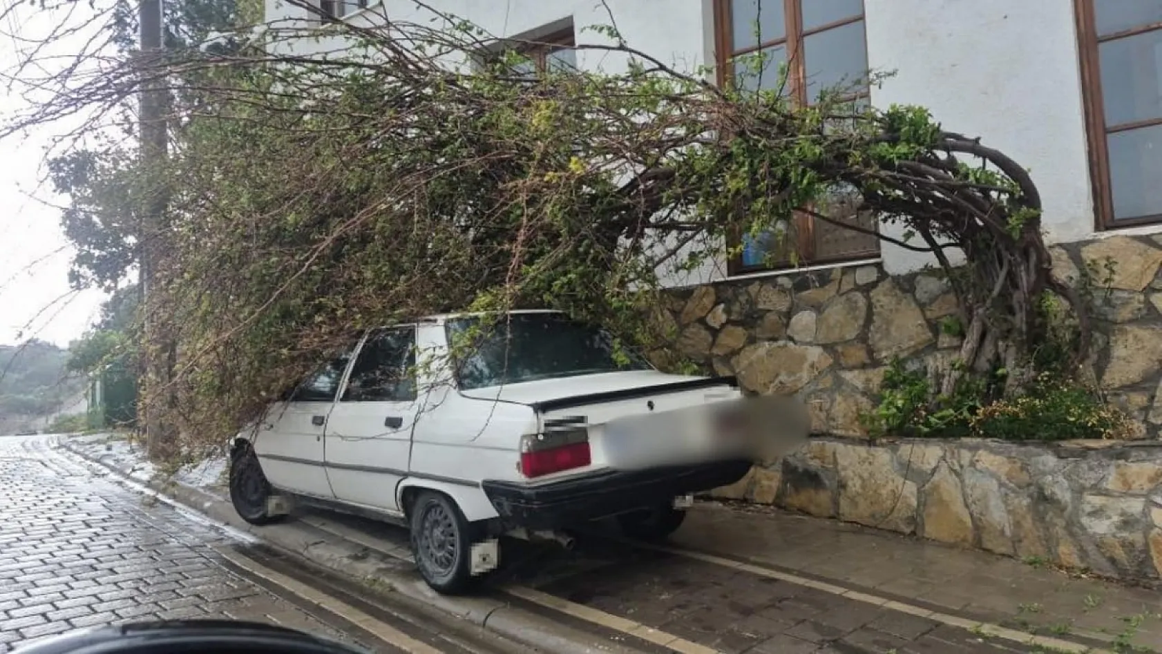 Bodrum'da fırtına etkili oldu, 2 tekne karaya oturdu