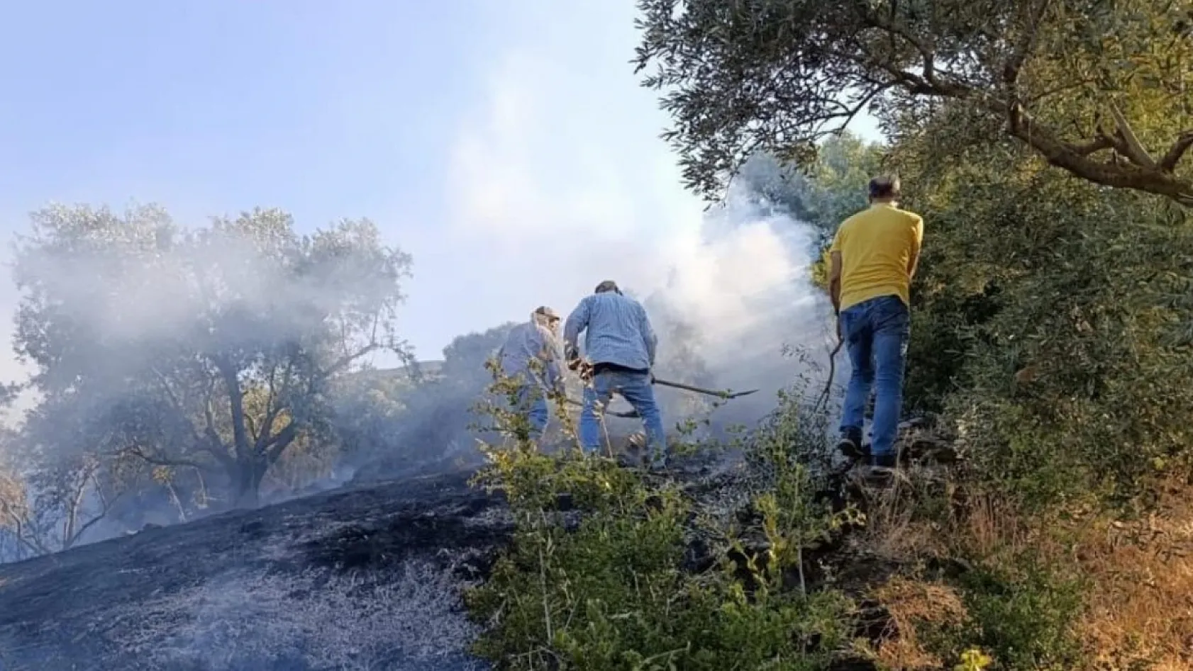 Aydın'da Arazi Yangını Ekiplerin Müdahalesiyle Söndürüldü