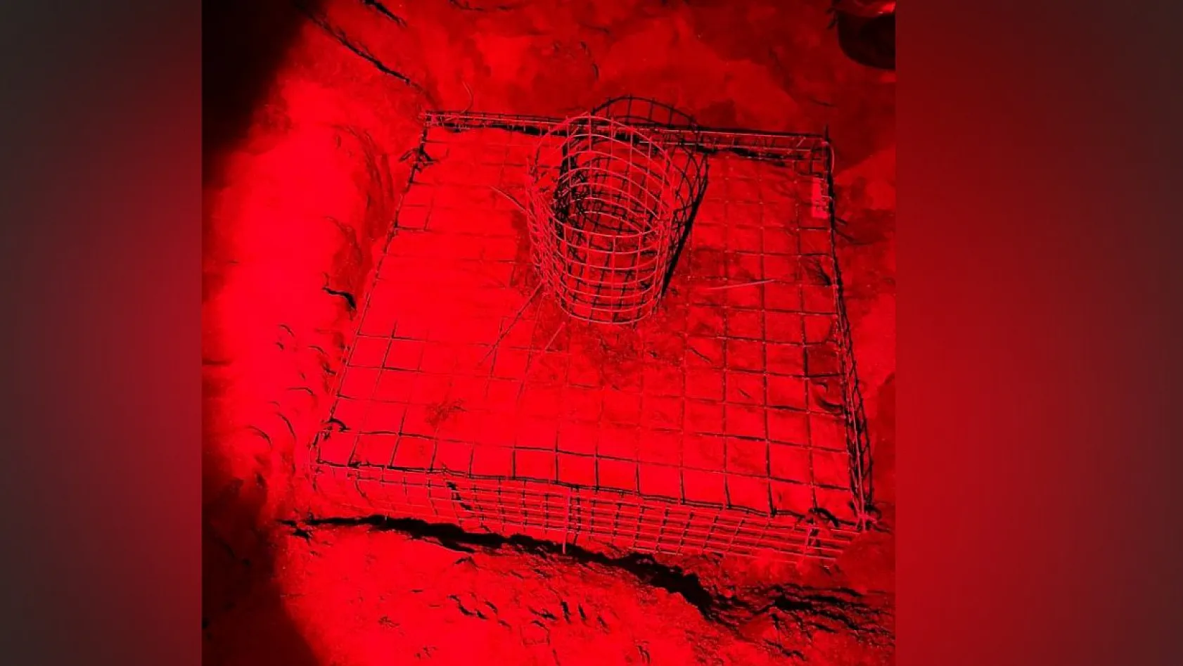 Muğla İztuzu Plajı'nda yılın ilk caretta yuvası koruma altına alındı