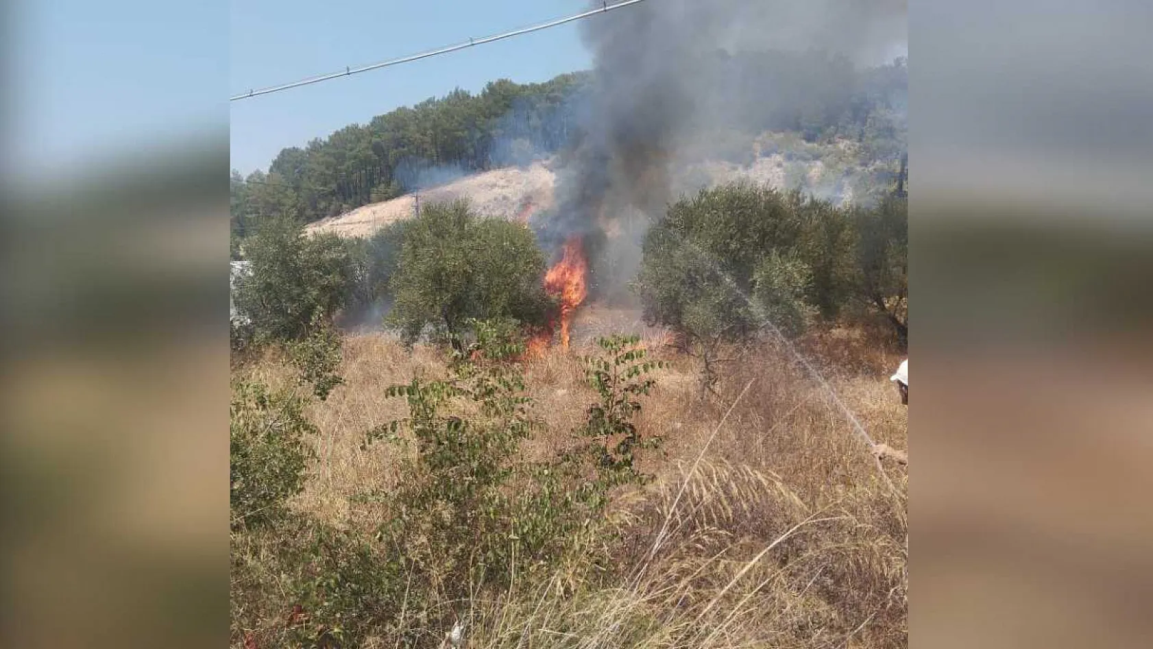 Antalya Kumluca'da Zeytin Bahçesi Kül Oldu