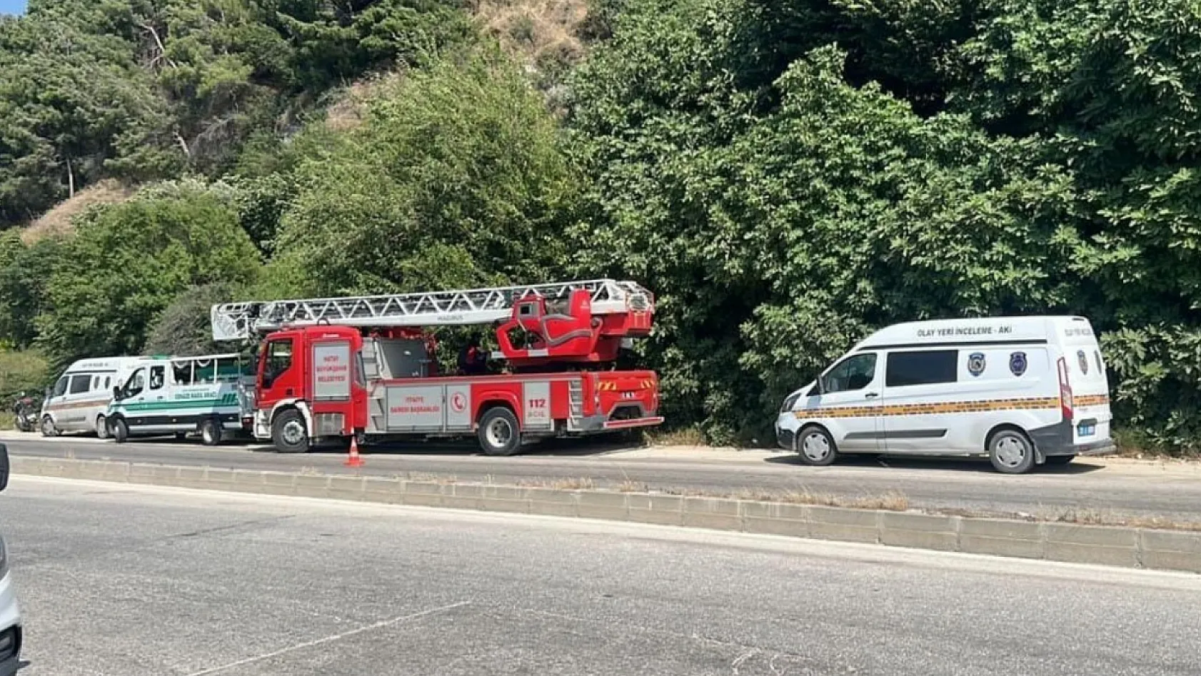 Koku sebebiyle yapılan kontrolde ağaca asılı ceset bulundu