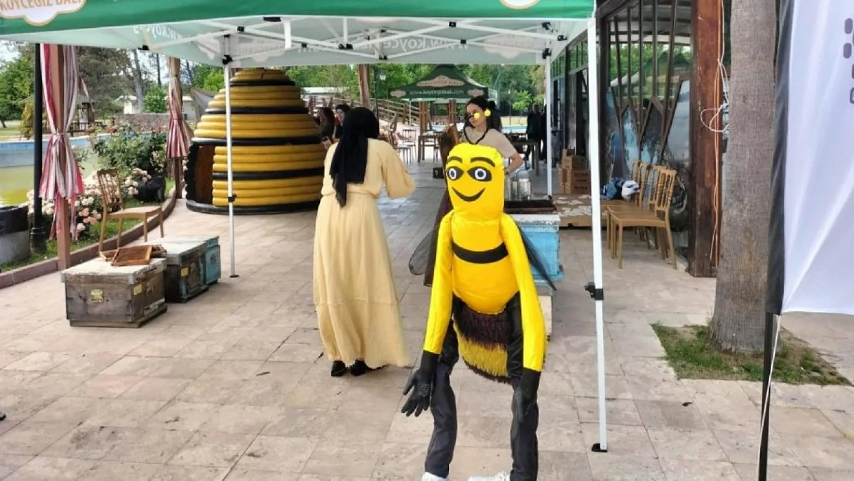 Köyceğiz'de Dünya Arı Günü kutlandı