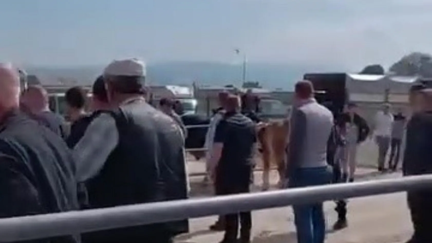 Kurban pazarında kavga: Jandarma havaya ateş açtı, kadın astsubay araya girdi