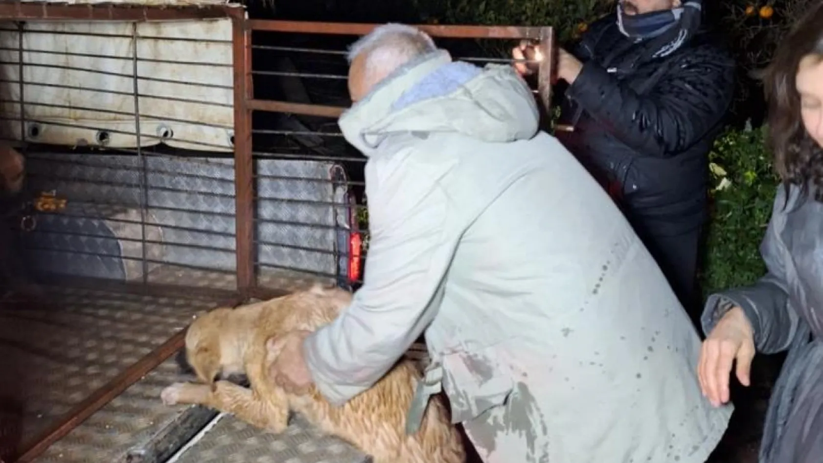 Sel sularının bastığı barınakta mahsur kalan 27 köpek botlarla kurtarıldı