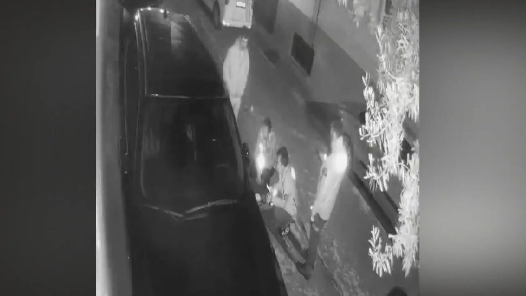 Denizli'de otomobilden yol kenarına atılan kadının yardım çığlıkları