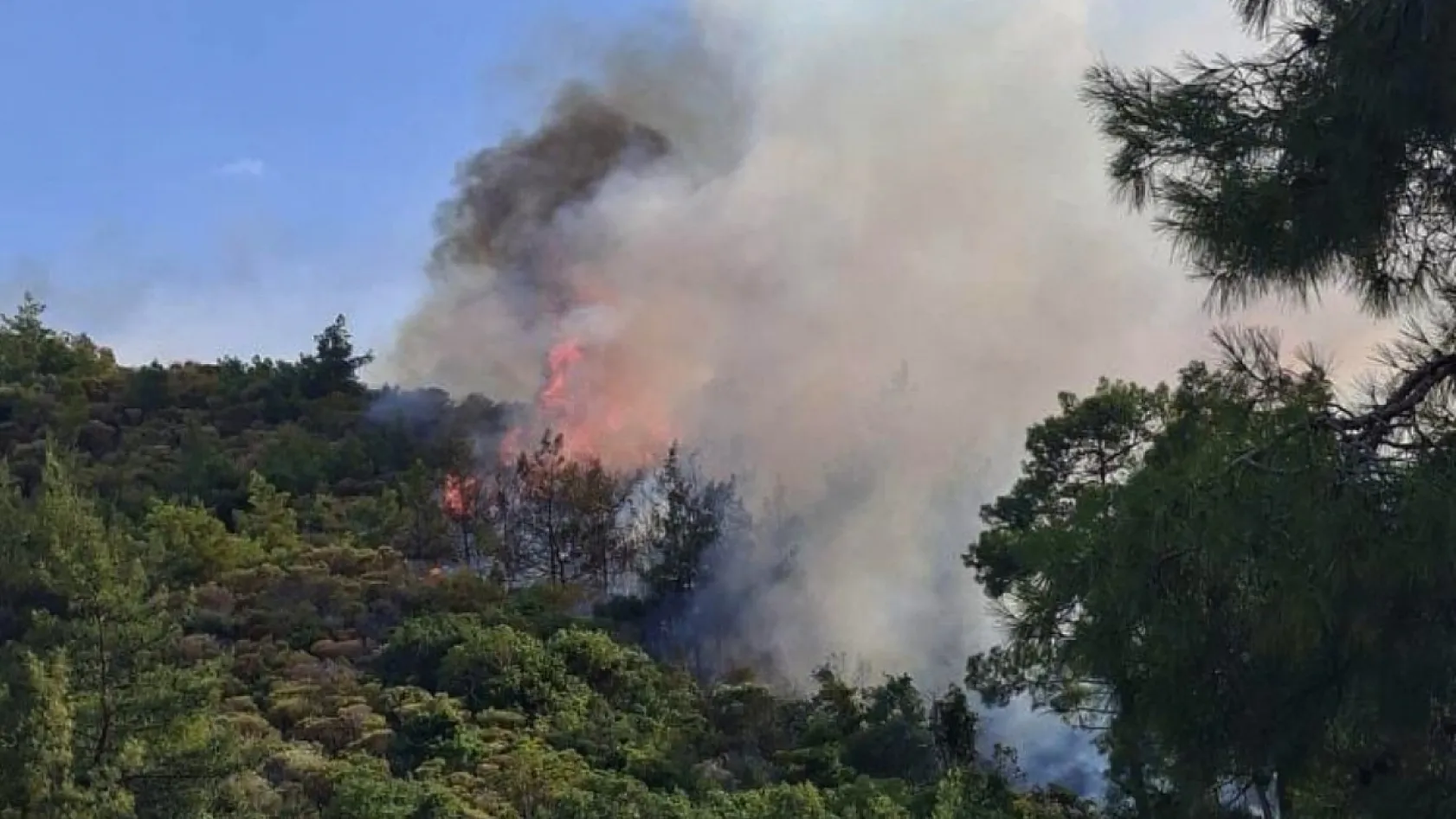 Marmaris'te yıldırım kaynaklı orman yangını