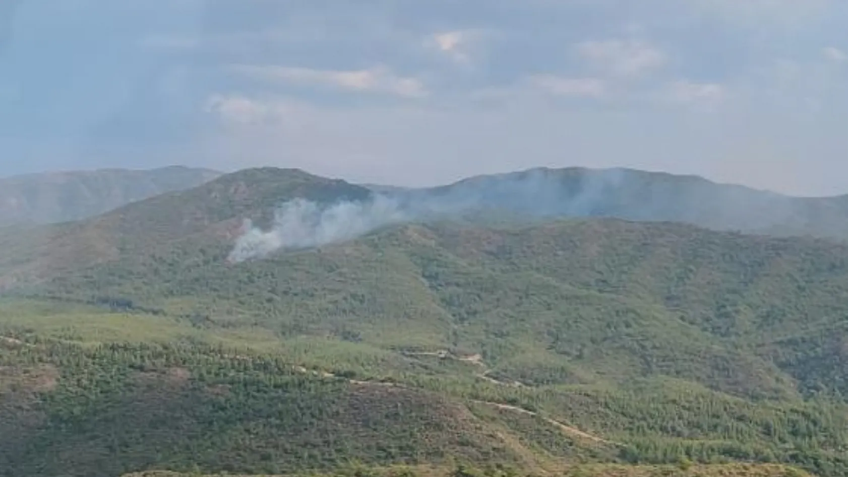Marmaris'te yıldırım kaynaklı orman yangını