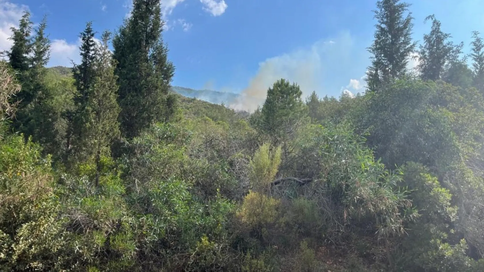 Marmaris'te yıldırım kaynaklı orman yangını