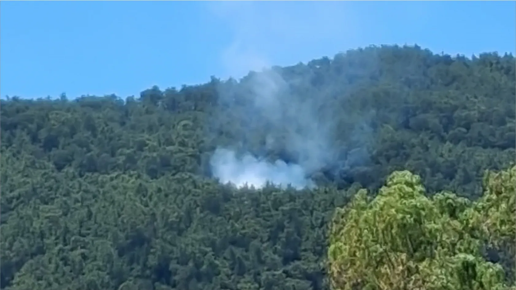 Marmaris'te Yol Kenarı Yangını Ormana Sıçradı