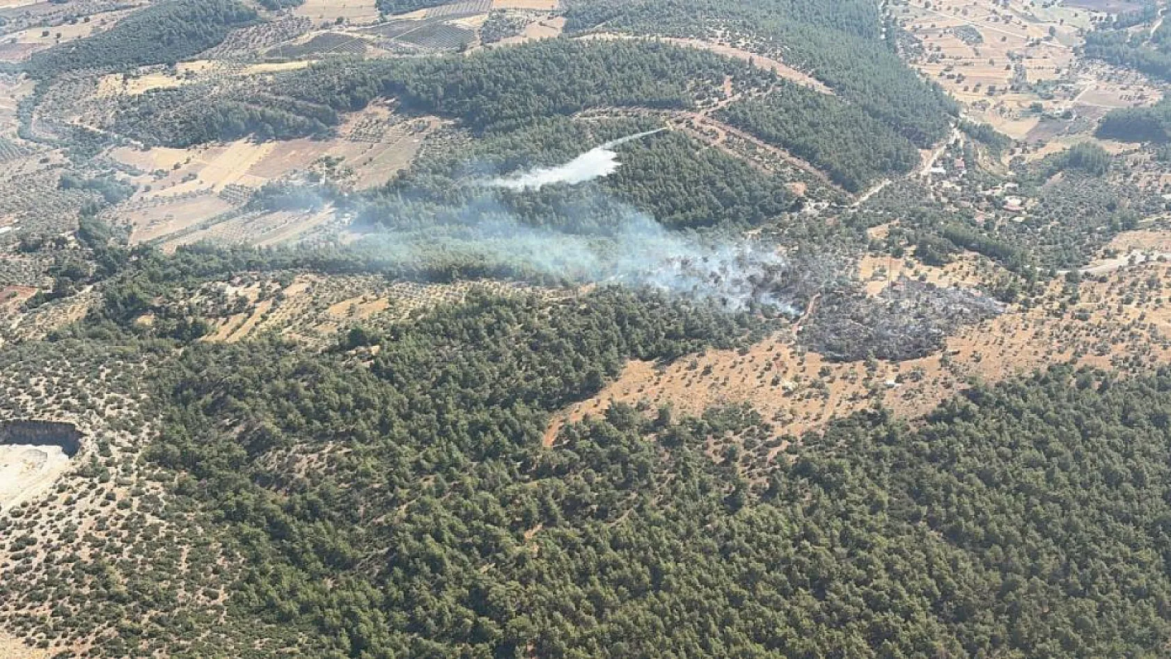 Milas'ta çıkan zirai yangın kısa sürede kontrol altına alındı