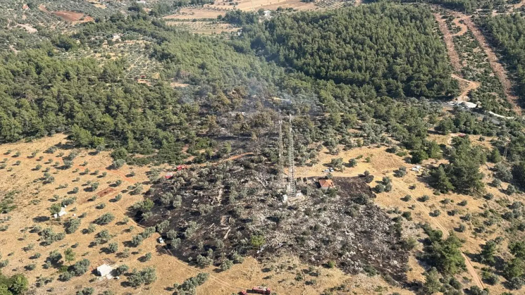 Milas'ta çıkan zirai yangın kısa sürede kontrol altına alındı