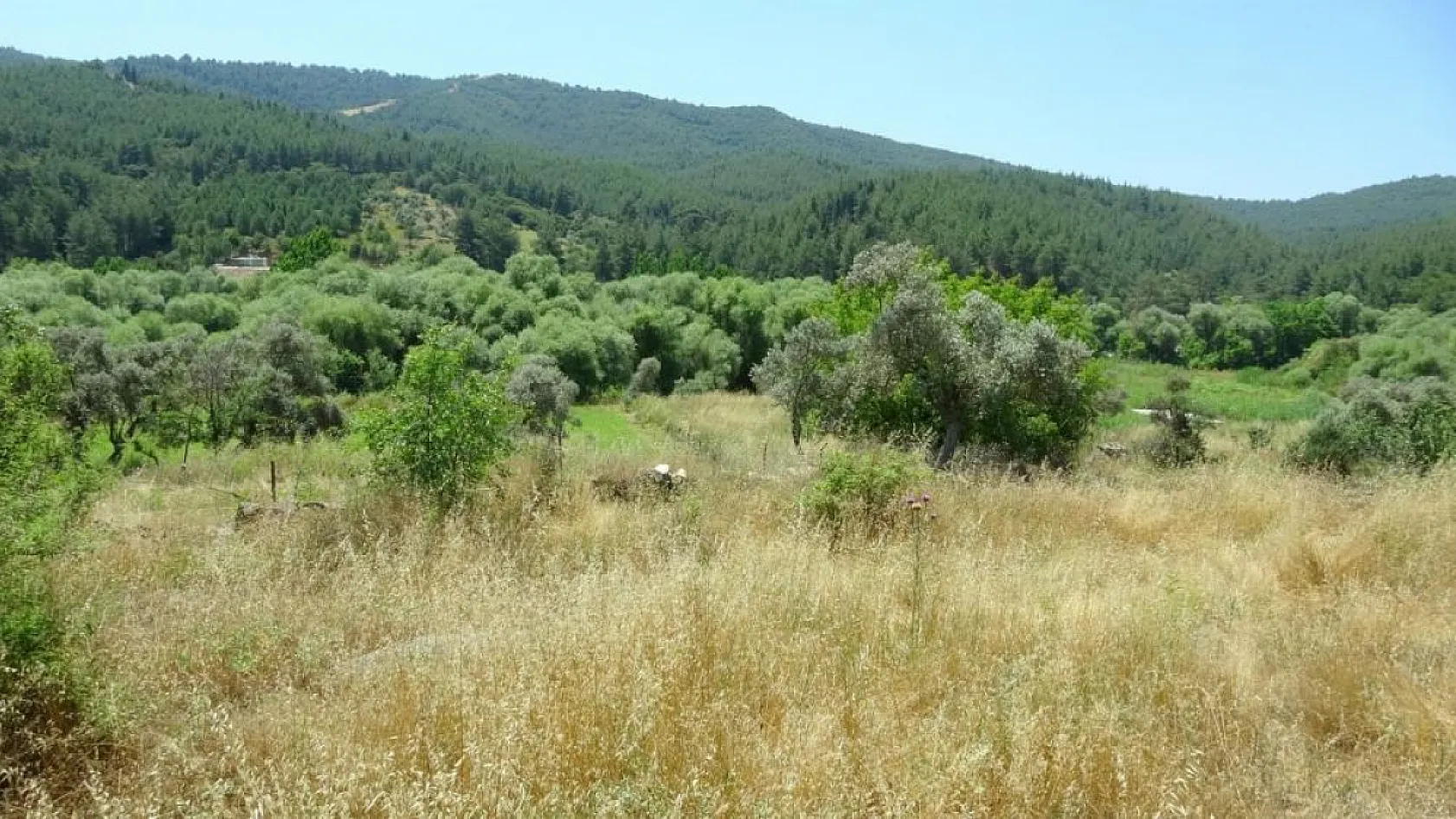 Muğla'da 3 gündür aranan yaşlı kadının cansız bedeni bulundu