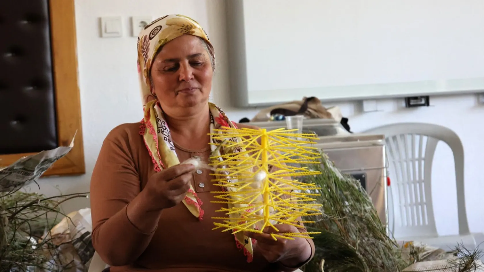 Muğla'da kozalar ekonomik gelire dönüşüyor