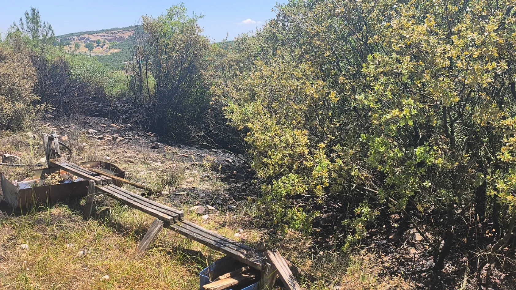 Muğla'da orman yangını ekiplerin hızlı müdahalesi ile söndürüldü