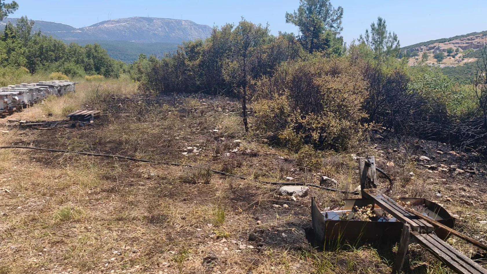 Muğla'da orman yangını ekiplerin hızlı müdahalesi ile söndürüldü