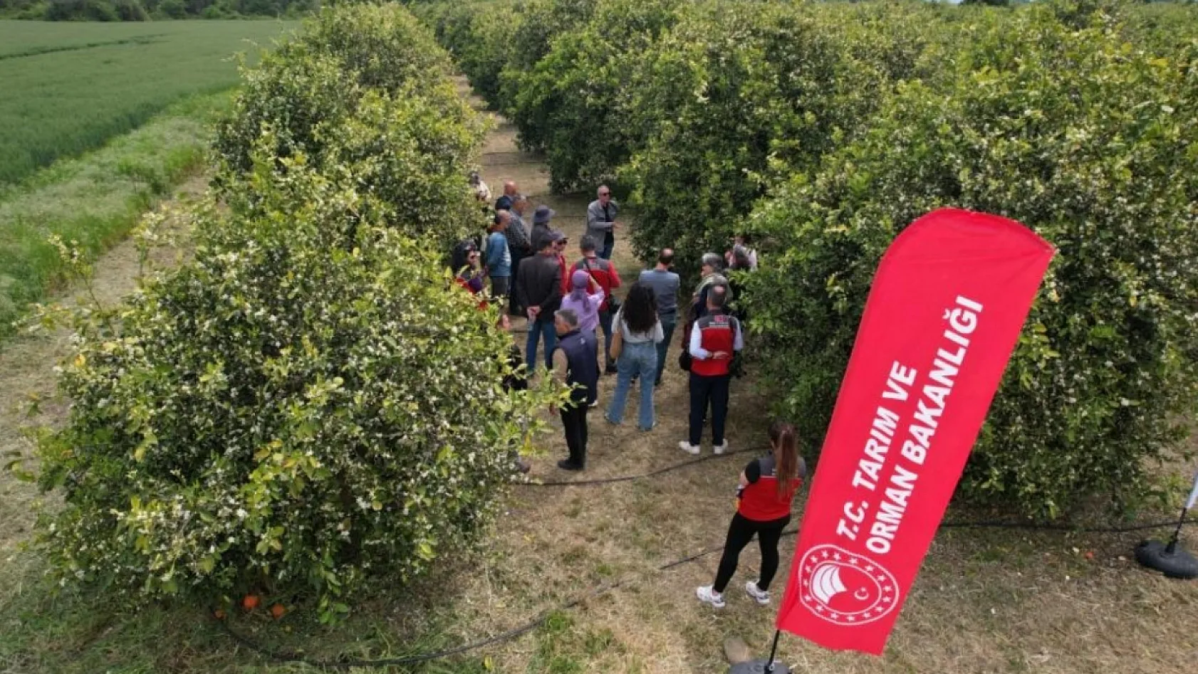 Muğla'da tarımda yeni dönem başlıyor
