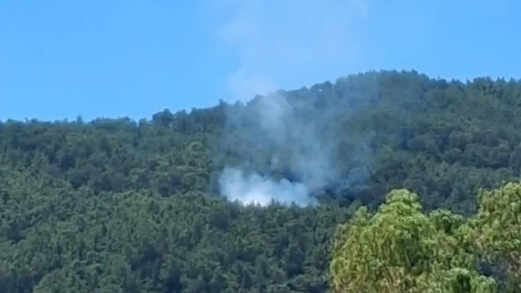 Muğla'da yıldırım kaynaklı 2 orman yangını