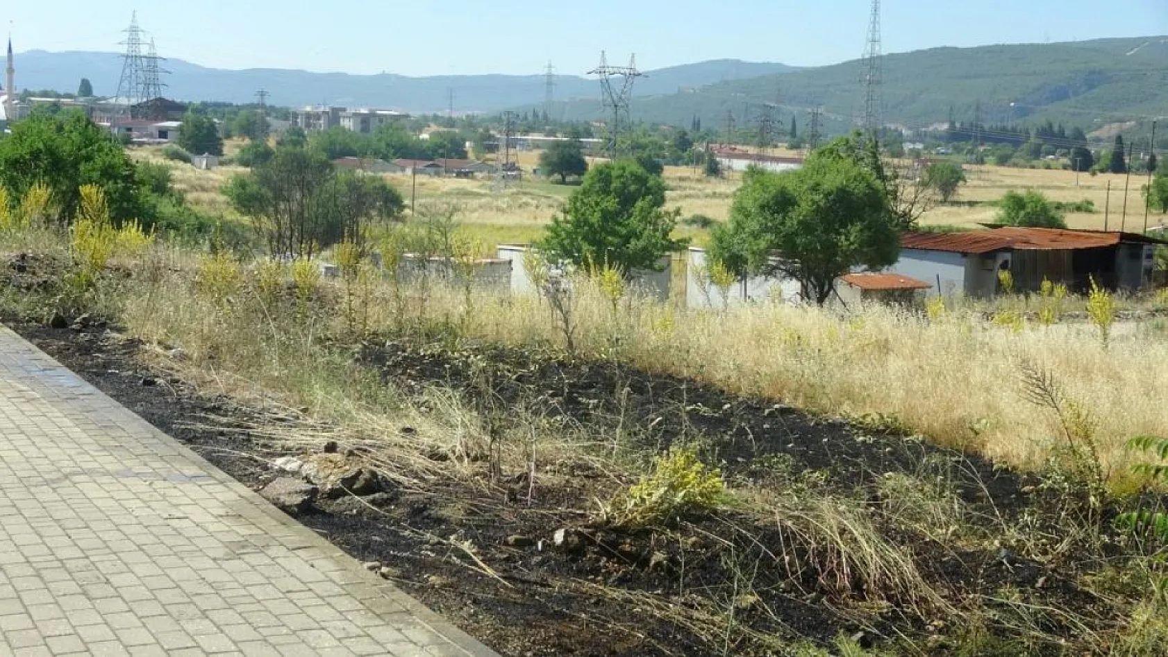 Muğla'da yol kenarına atılan sigara izmariti yangın çıkardı