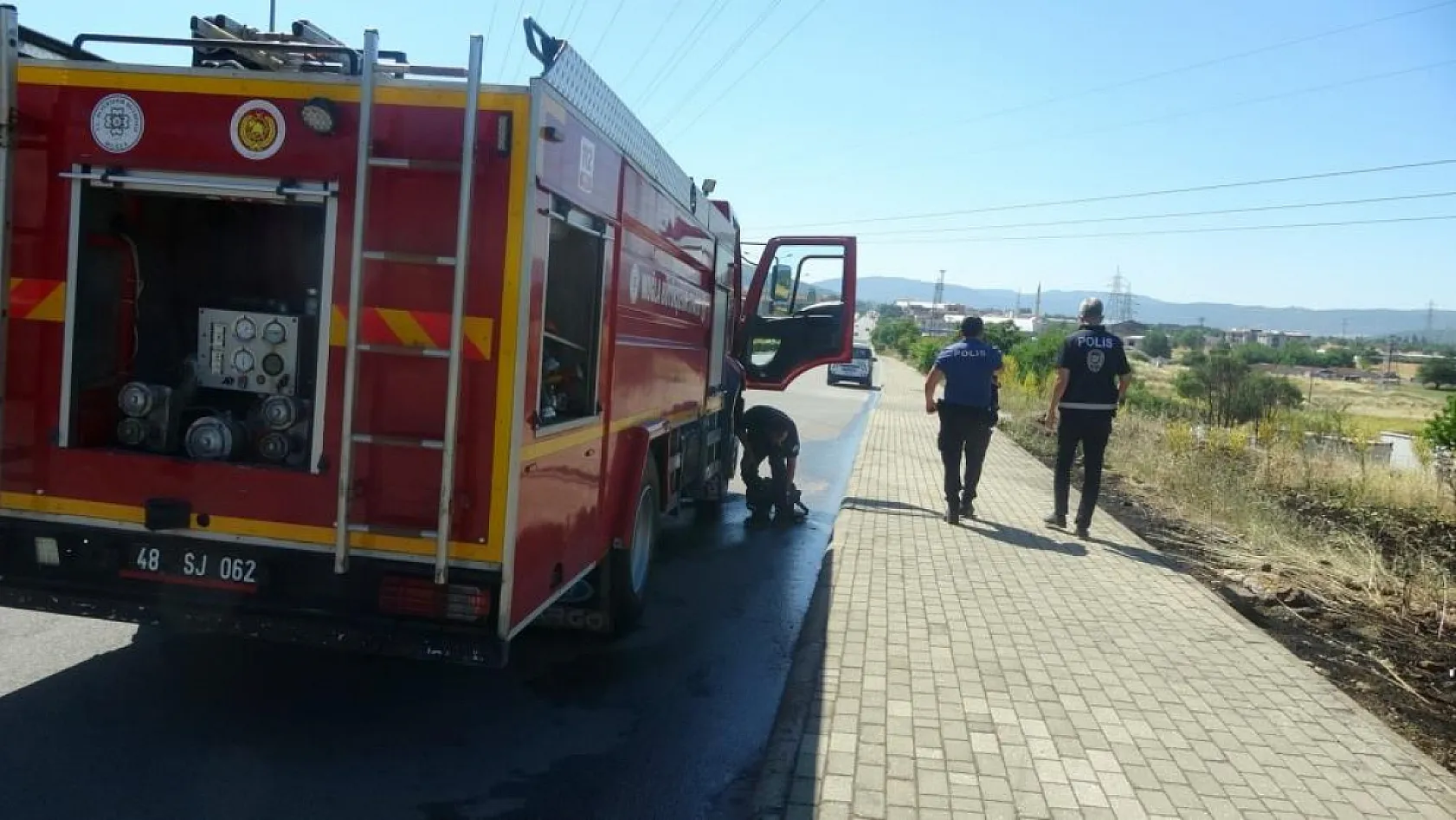 Muğla'da yol kenarına atılan sigara izmariti yangın çıkardı