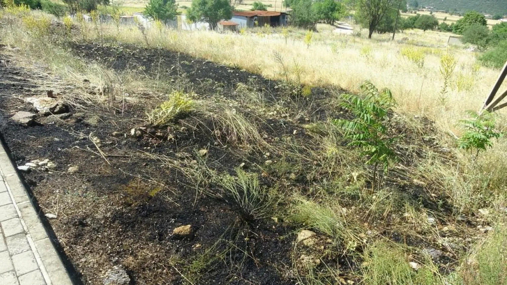 Muğla'da yol kenarına atılan sigara izmariti yangın çıkardı