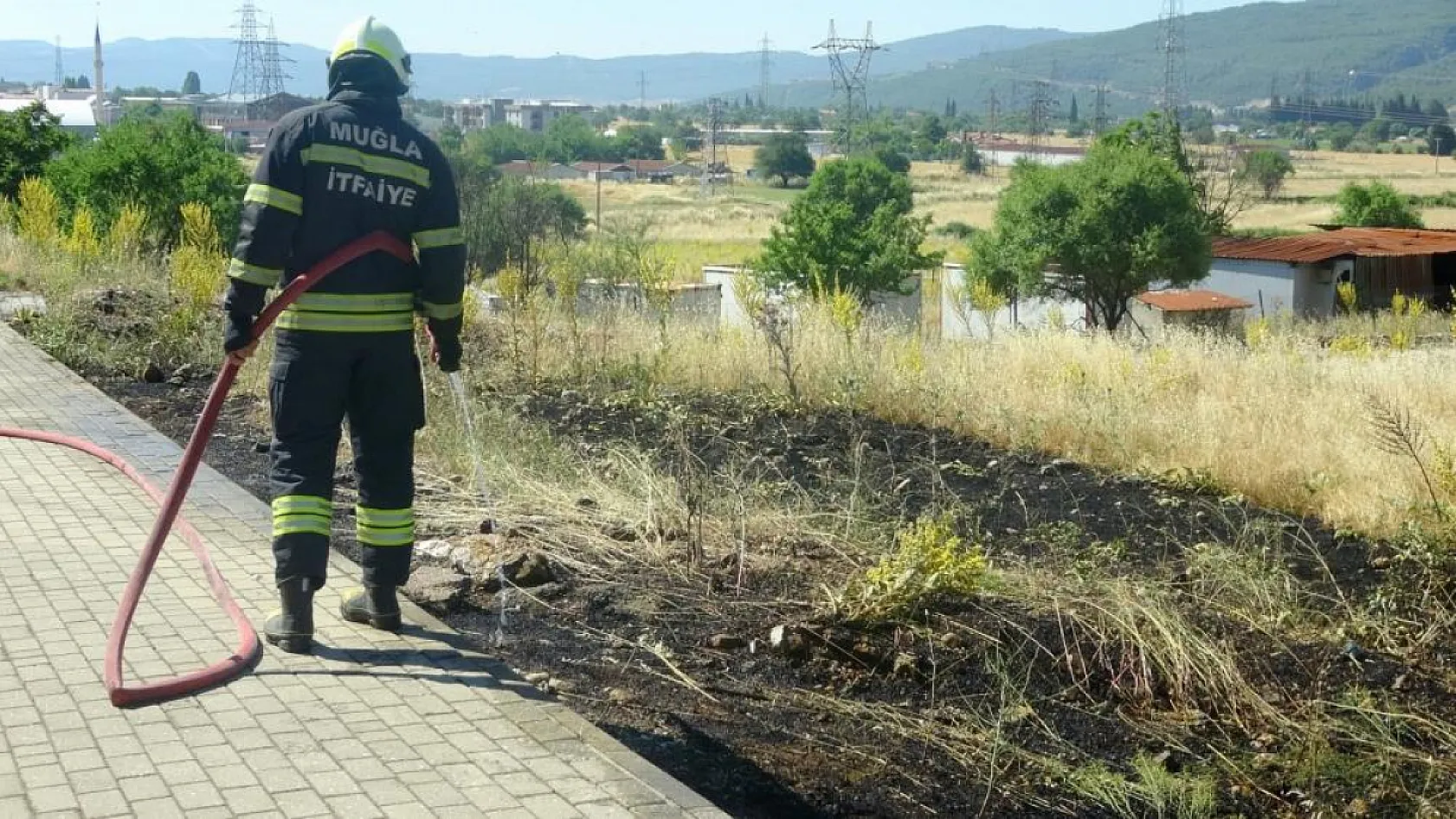Muğla'da yol kenarına atılan sigara izmariti yangın çıkardı
