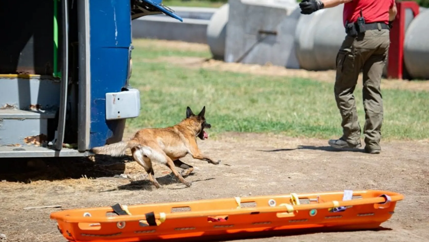 Muğla NAK Arama Kurtarma Köpekleri Macaristan'da sahaya indi