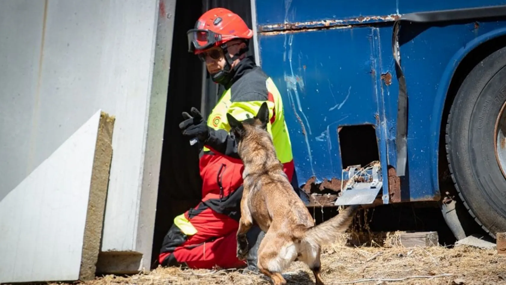 Muğla NAK Arama Kurtarma Köpekleri Macaristan'da sahaya indi